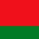 Belarus flag pattern vector